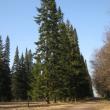 Ломоносов